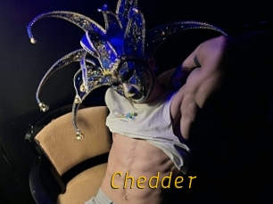 Chedder