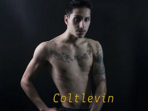 Coltlevin