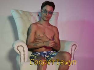 Cooperlewyn