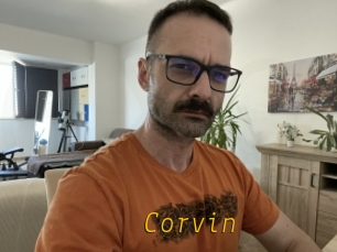 Corvin