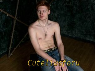 Cuteliusforu