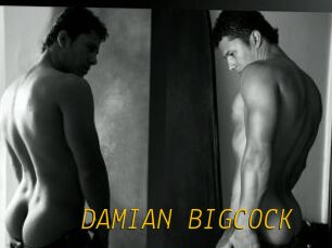 DAMIAN_BIGCOCK