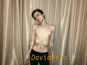 DavidHero