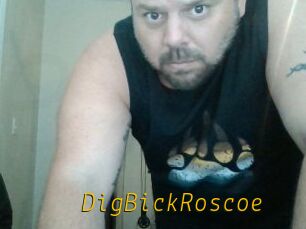 DigBickRoscoe