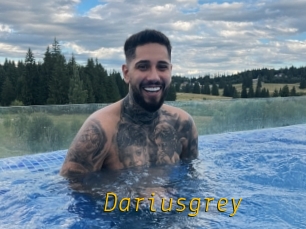 Dariusgrey