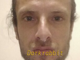 Darkrabbit