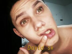 David_sk