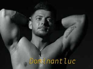 Dominantluc