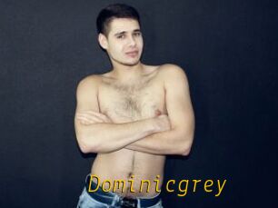 Dominicgrey