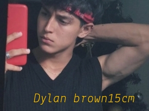 Dylan_brown15cm