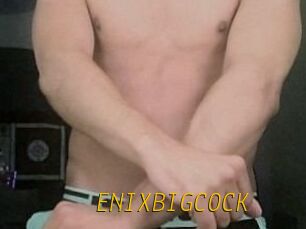 ENIXBIGCOCK