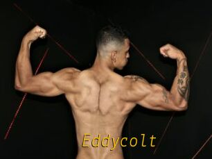 Eddycolt