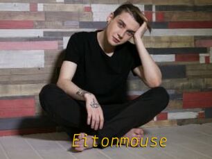 Eitonmouse