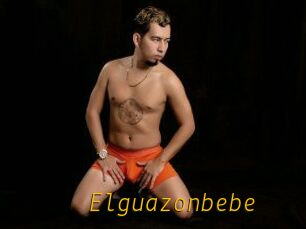 Elguazonbebe