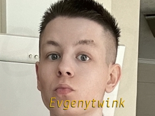 Evgenytwink