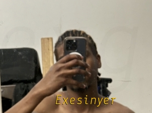 Exesinyer