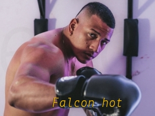 Falcon_hot