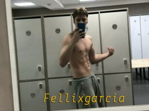 Fellixgarcia