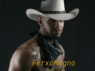 Ferxomagno