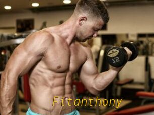 Fitanthony