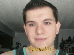 Gaymeboi