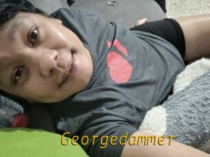 Georgedammer