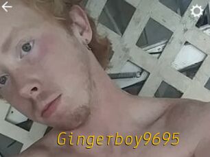 Gingerboy9695