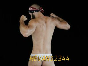 HEVAN12344