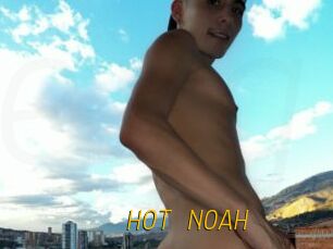 HOT_NOAH