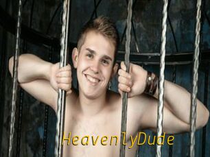 HeavenlyDude