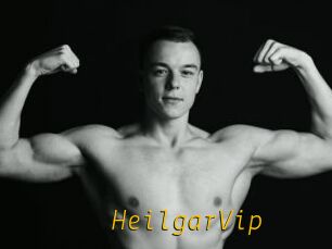 HeilgarVip