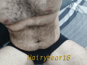 Hairybear18