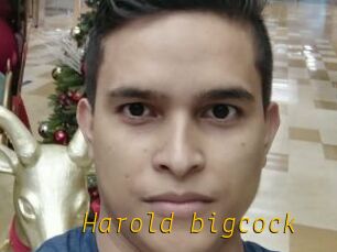 Harold_bigcock