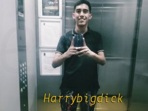 Harrybigdick