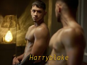 Harryblake