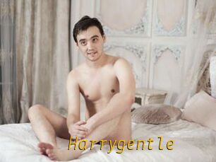 Harrygentle