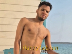 Harrylebron