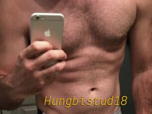 Hungbistud18