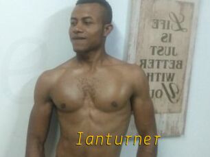 Ianturner