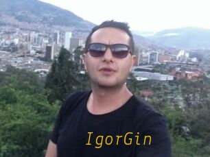 IgorGin