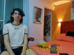 Igorespinoza