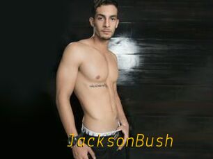 JacksonBush