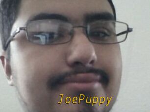 JoePuppy