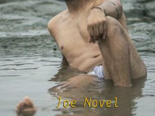 Joe_Novel