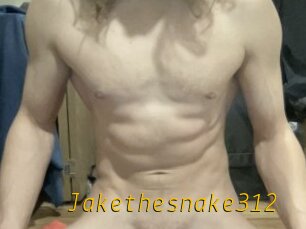 Jakethesnake312