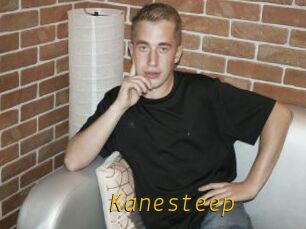 Kanesteep