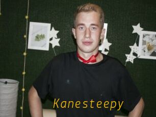 Kanesteepy