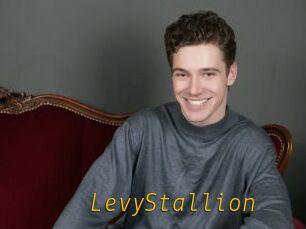 LevyStallion