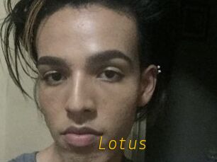 Lotus