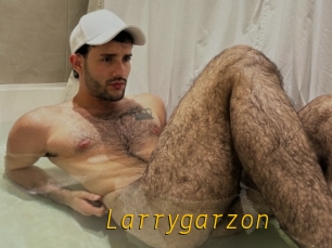 Larrygarzon